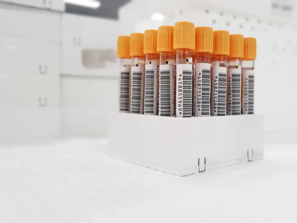 Lyfestyle Metabolic Wellman blood test